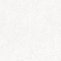 3372825742-nature-white-sf-9090-silk.jpg