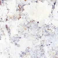 3392640736-artic-white-st-100180-strata.jpg