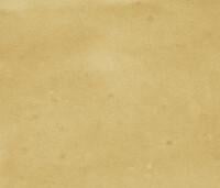 3300043829-samira-gold-624-6-glossy.jpg