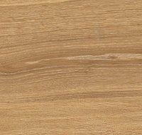 3391540504-taos-honey-24151.jpg