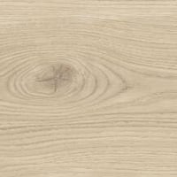 3391541728-bloom-dune-sp-24151-shaped.jpg