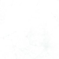 5087831787-dual-white-sp-33-3100-shaped.jpg