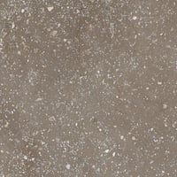 3386042776-cosmos-chocolate-sp-22-322-3-matt.jpg