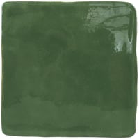 3300043979-hana-green-1212-glossy.jpg