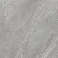 3389842520-strond-dolphin-sp-100100-shaped.jpg