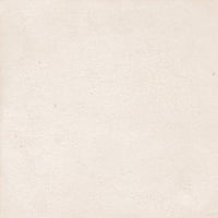 5087840344-salines-bone-33-3100.jpg