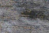 3385939766-fs-melvin-color-7-467-5.jpg