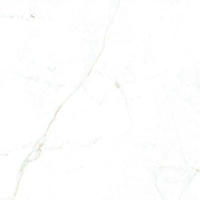 3392631745-dual-white-100180-pulido-premium.jpg