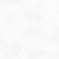 3350939581-planet-white-sf-60120-silk.jpg